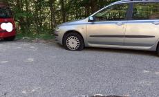 Parco nazionale, i fungaioli si ritrovano (di nuovo) le gomme tagliate. Il presidente: "Stupido e grave"
