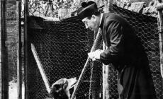 Quel Capodanno di Don Camillo
