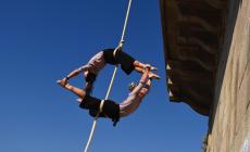 Pic Nic Circus