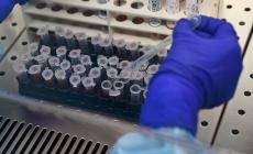 Un solo caso positivo tra gli oltre 500 tamponi  ai frequentatori del Colle