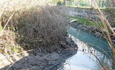 «Il canale Naviglio è a rischio esondazione»