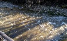 Liquami nel Termina: multato un allevatore