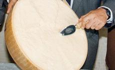 Il Parmigiano Reggiano è la "divinità" italiana. Lo dice Le Monde