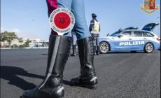 Parma, norme anti-covid: 5 sanzioni su 784 controlli.  Multa  anche per  un esercizio