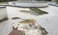 Viaggio fra recinti in condizioni desolanti