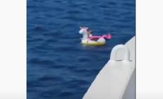 Bimba alla deriva su unicorno gonfiabile: recuperata da un traghetto - Video