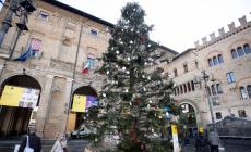 Addio «Spelacchio»: l'albero di Natale si trasformerà in mobili «solidali»