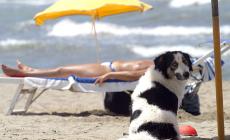 Il Ministro bacchetta i gendarmi anti-topless sulla spiaggia