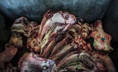 Mistero e miseria nel cibo quotidiano