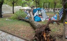 Marina di Massa, un albero crolla su una tenda di un campeggio: morte una bambina di 3 anni e la sorella di 14