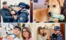 Quattro cuccioli abbandonati hanno trovato una famiglia