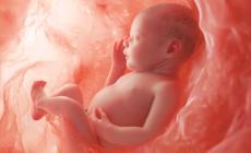 Testati nel pancione. Nipt: un semplice esame del sangue in grado di scoprire  anomalie cromosomiche gravi del feto