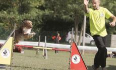 Quegli sport all'aria aperta per due gambe e quattro zampe