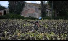 Torna la caccia (in anticipo)  in 15 regioni