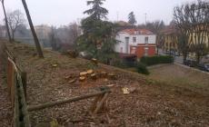 E sulla Cittadella M5s replica a Buzzi