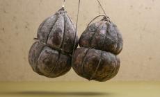La "Salama da sugo" e la "Piadina Romagnola" elette Igp