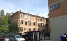 Scuola evacuata e sciame di api: 10 alunni all'ospedale