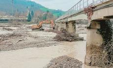 Il gruppo Il Falco della Prociv ha ripulito l'alveo del Baganza