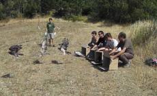 Centro Parco Millepioppi:  via libera per i nuovi lavori