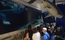 A Salso è nato il MuMab, il luogo che unisce storia e natura