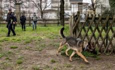 Bocconi: sguinzagliata Senna, &laquo;militare&raquo; a 4 zampe
