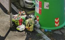 "Viale Piacenza, il panorama che ci accoglie da giorni"