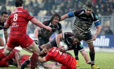 Zebre: sconfitta senza sfigurare