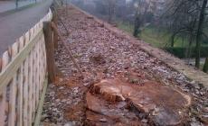 La Cittadella "nuda": ecco perchè