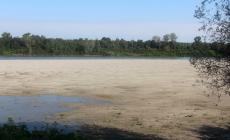 Il Grande fiume torna di nuovo  in magra - Le foto