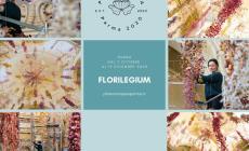 Dal 2 ottobre Rebecca Louise Law riconquista Parma con 200mila fiori