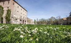 La Pilotta è finita in campagna? No, Parma è una giungla urbana