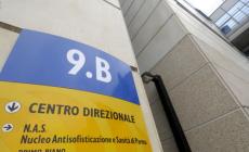 Appalti pilotati in ospedali:  sequestri 