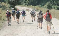 Domenica si cammina da Fidenza a Fornovo