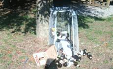 Fidenza, schiamazzi e nuovi vandalismi al Parco Rabaiotti