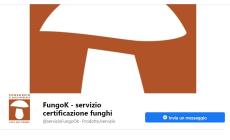 Con il micologo funghi sicuri e senza segreti