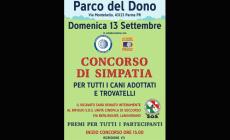 Concorso Simpatia per tutti i cani trovatelli