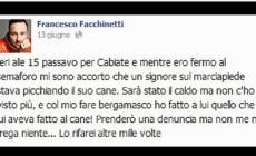 Cane picchiato: e Facchinetti reagisce