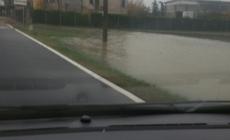 Dall'Olio: "Esondazione del canale Burla, un evento annunciato"