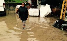 Bomba d'acqua sull'Alta Valtaro: auto trascinate via