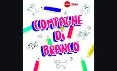 Quando in famiglia c'è una new entry: arriva un altro cane