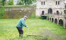 I ritardi negli sfalci? Assegnate solo ora le manutenzioni. E in Cittadella c'è chi rispolvera la falce