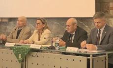 «Peste suina africana, ora provvedimenti efficaci»