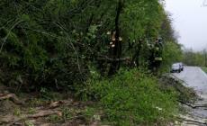 Riaperta dopo la frana la Strada Provinciale 20