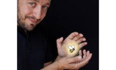 "Lulù" e i suoi tre piccoli amici