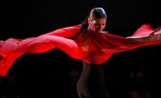 Alla scoperta dell'arte del flamenco