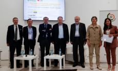 Maggiori: «L'eccedenza? Facciamola diventare una risorsa preziosa»