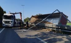 Tangenziale, si ribalta camion pieno di barbabietole