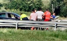 17enne ferito da un toro che gli stacca una mano