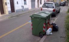 Parma invasa dai rifiuti