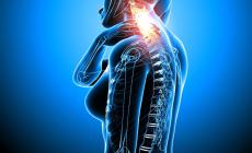 Seminario di Osteofluidica Cranio Sacrale 